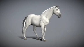 白马模型 white horse