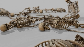 【UE】模块化人体骨骼  Modular Human Skeleton