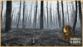 【UE5.6】烧毁森林余烬环境 Burnt Forest Aftermath Environment