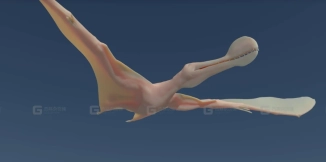 Maya生物肌肉脂肪皮肤面部解算器插件 AdonisFX For Maya