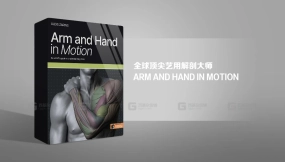 手臂与手的运动 - 书籍 - Arm and Hand in Motion - book
