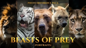 213张猎物的野兽艺术家的照片参考包 JPEGS Beasts of Prey- Portraits Photo Reference Pack For Artists 213 JPEGs