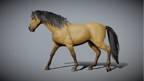 马模型 horse
