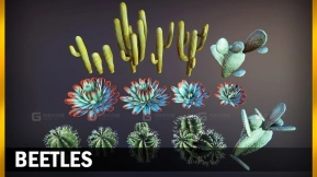 【UE】仙人掌  Cacti