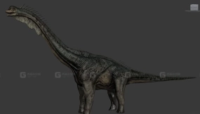 Genesis Brachy - 创生短颈龙