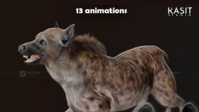 鬣狗（动画，完整绑定）  Hyena (Animated,Full Rigg)