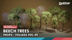 【UE】植被 VOL.45 - 山毛榉树（Nanite - 无透明材质）  Foliage VOL.45 - Beech Trees (Nanite - NO TRANSPARENCY)