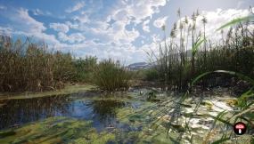 【UE】PCG水域河流树木生物群落  PCG Biome River Generator