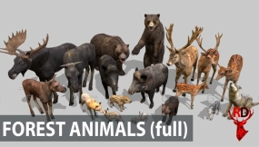 21种森林动物包狗熊野猪驼鹿兔子生物模型 Forest animals