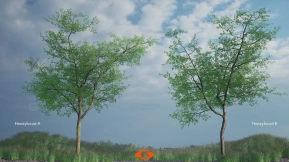 【UE】树木蜜槐树 Scanlabz Trees _ Honeylocust Tree