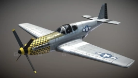 二战美军P51野马战斗机 WW2 US Fighter Aircraft P51 Mustang