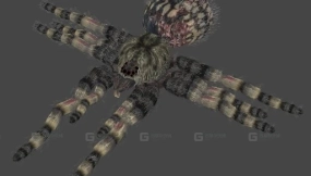 蜘蛛-Ews1 3D model-11-0