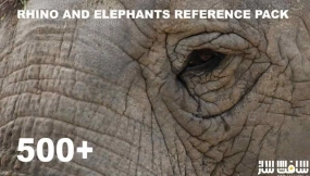 500多种犀牛大象参考图片 500+ Rhino and Elephants - Pack Références