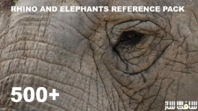 500多种犀牛大象参考图片 500+ Rhino and Elephants - Pack Références