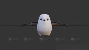 长尾山雀 Long-tailed tit 41