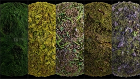 30组草地草坪PBR贴图  30 Grass Texture