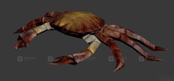 螃蟹 Crab 11