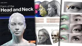 艺用头颈结构头部面部肌肉雕刻PDF电子版参考素材 Form of the Head and Neck