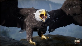 【UE】动物秃头鹰与金雕 Animalia - Bald and Golden Eagle