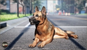 【UE】动物王国 - 德国牧羊犬  Animalia - German Shepherd