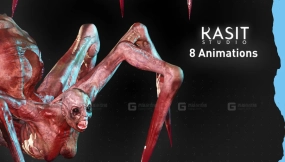 蜘蛛动画  Spider Animated