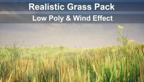 【UE】低多边形写实草地包  Low Poly Realistic Grass Pack