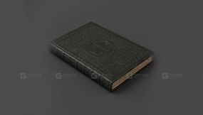 神秘学书籍（LP） - Occult Book (Lp)