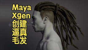 【国语】Maya使用Xgen创建逼真的毛发脏辫课程-上