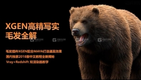 【maya+xgen】高精度写实毛发完整制作工作流程视频教程
