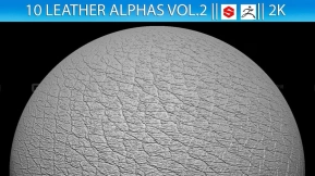 10组皮写实皮革表面Alpha贴图  10 Leather Alphas vol.2 