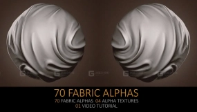 布料衣服裤子褶皱压痕笔刷 70 Fabric Alphas and Texture