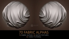 布料衣服裤子褶皱压痕笔刷 70 Fabric Alphas and Texture