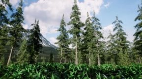 【UE】云杉林冬夏景致  Spruce forest winter and summer