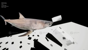 【UE】大白鲨  Great White Shark