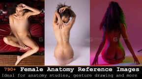 790张女性pose参考图片