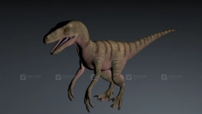 Eoraptor - 始盗龙