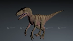 Eoraptor - 始盗龙