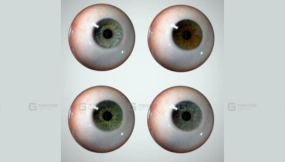 眼球眼睛Eyeball Eyeball