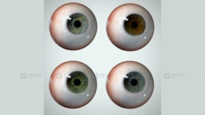 眼球眼睛Eyeball Eyeball