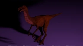 Ophiacomimus - 蛇颈龙