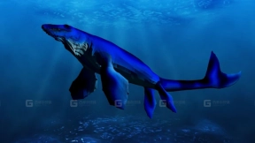 海鳄龙 Metriorhynchus 0