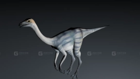 Ornithomimus - 似鸟龙