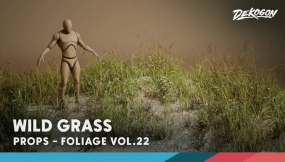 【UE】植被第22卷 - 野草（低多边形）  Foliage VOL.22 - Wild Grass (Low Poly)