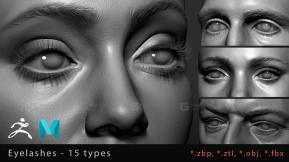 眼睛睫毛模型 Eyelashes Big Pack