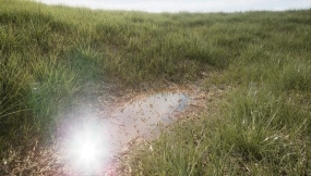 【UE】Nanite草地Vol.1  Nanite Grass Vol.1