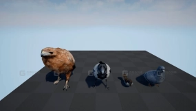 【UE】鸟环  Bird Band