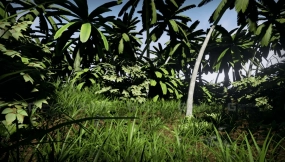 【UE】热带自然50个模型包  Tropical Nature 50 Models Pack