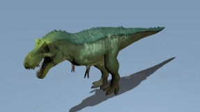 Hypo rex - 小型暴龙