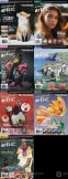 2024年国际艺术家全7册pdf书籍