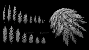 翅膀羽毛笔刷+模型 Tattered Feathers IMM Brush